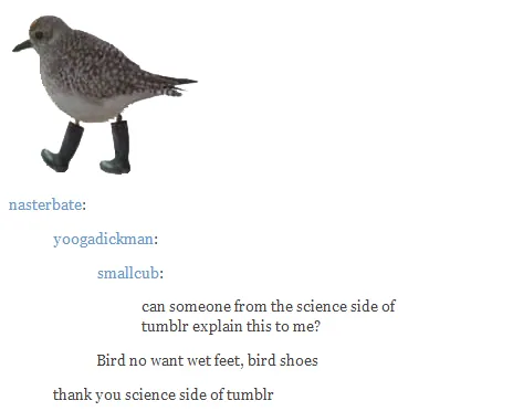 Carte meme The Science Side of Tumblr