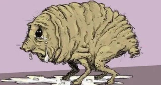 The Squonk meme card