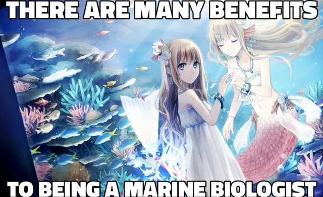 Carte meme There Are Many Benefits To Being A Marine Biologist