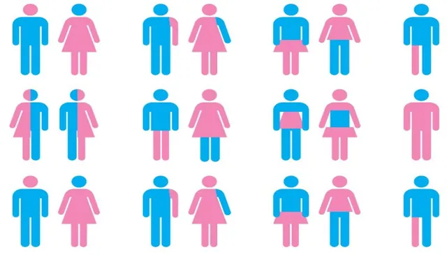 There Are More Than Two Genders Infographic meme card