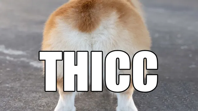Thicc meme card