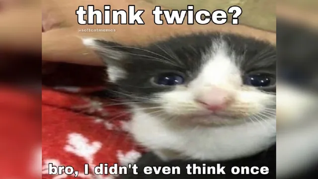Carte meme Think Twice? I Don’t Even Think Once