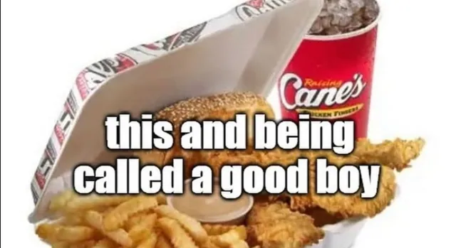 This and Being Called A Good Boy meme card