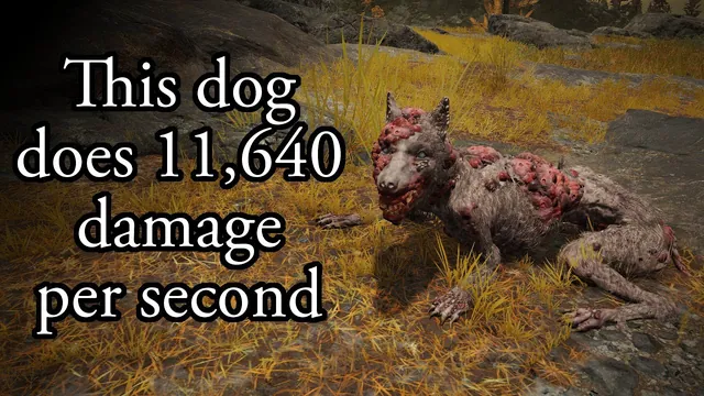 This Dog Does 11,640 Damage per Second meme card