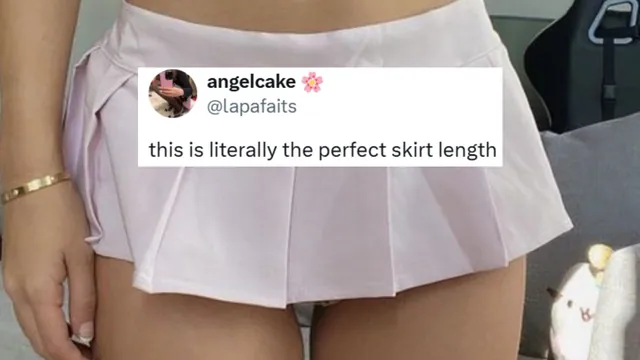 This Is Literally the Perfect Skirt Length meme card