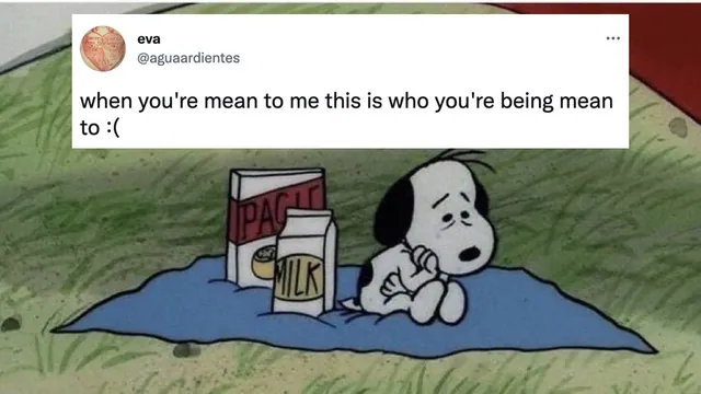 This Is Who You're Being Mean To meme card