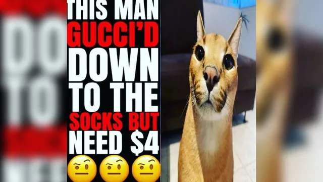 Carte meme This Man Gucci’d Down To The Socks But Need $4