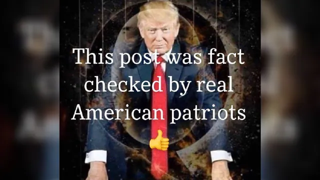 Carte meme This Post Was Fact Checked By Real American Patriots