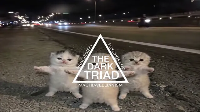 Three Kittens Dancing / The Dark Triad meme card