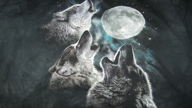 Three Wolf Moon meme card