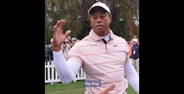 Tiger Woods "Big Dog" meme card