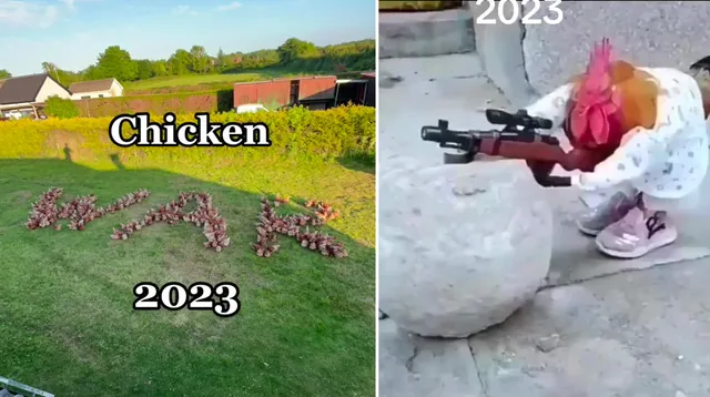 Carte meme TikTok Chicken Wars of 2023