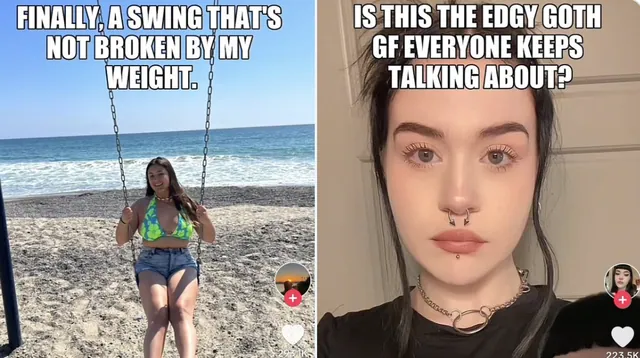 TikTok's AI Meme / Roast Filter meme card