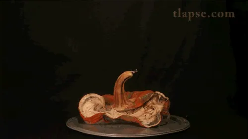 Time Lapse Photography meme card