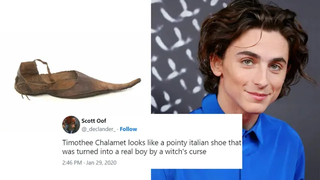 Carte meme Timothée Chalamet Shoe