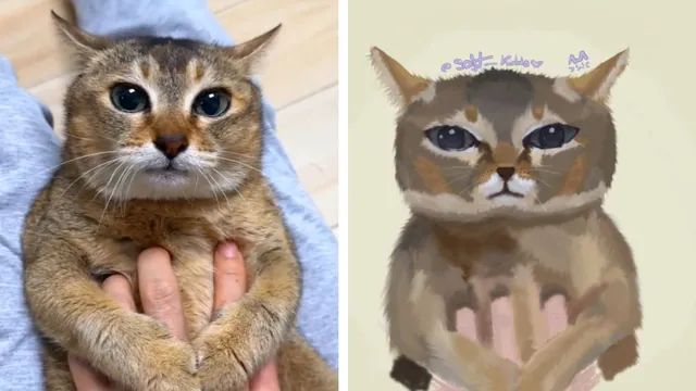 Tole Tole Cat / Mei Mei Cat meme card