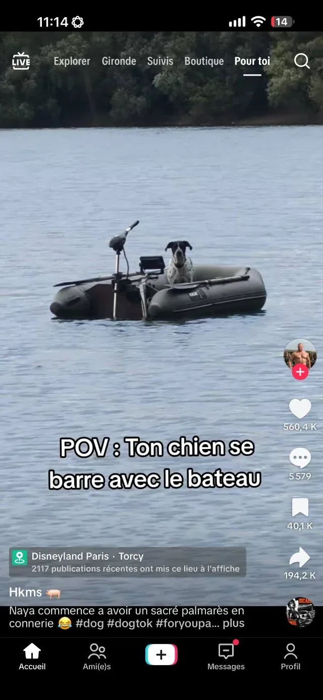 Meme Ton chien se barre avec le bateau