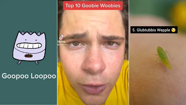 Top 10 Goobie Woobies meme card