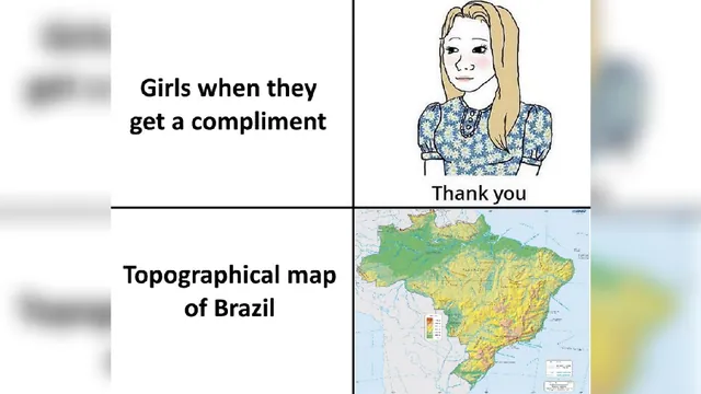 Carte meme Topographical Map of Brazil