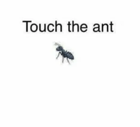 Touch the Ant meme card