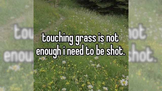Touching Grass Is Not Enough meme card