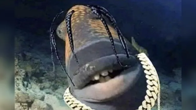 Travis Scott Fish meme card