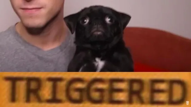 Trigger / Triggered (Slang) meme card