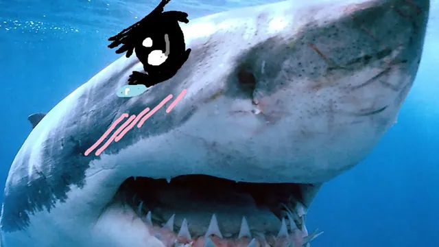 Tsundere Sharks meme card