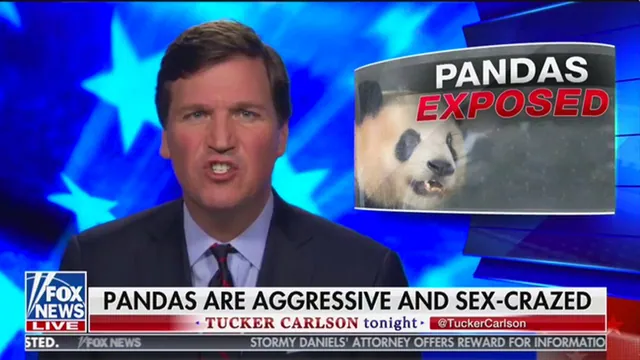 Tucker Carlson's Sex-Crazed Pandas meme card