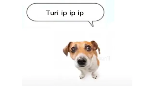 Turi Ip Ip Ip meme card