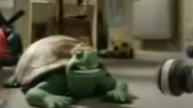 Turtle Song Persian Language meme card