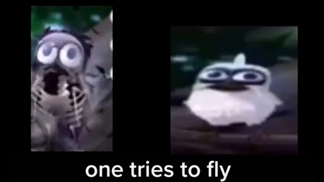 Carte meme Two Birds On A Wire