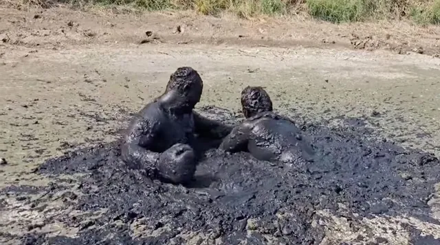 Carte meme Two Guys Mud Boxing
