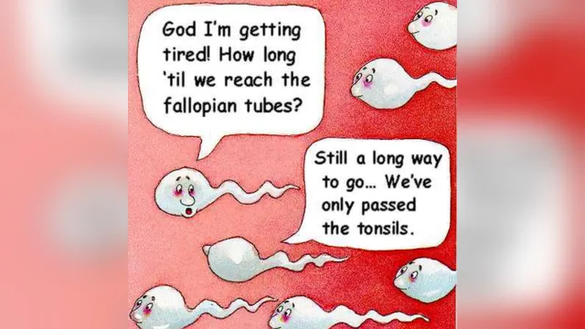 Carte meme Two Sperm Cells Talking