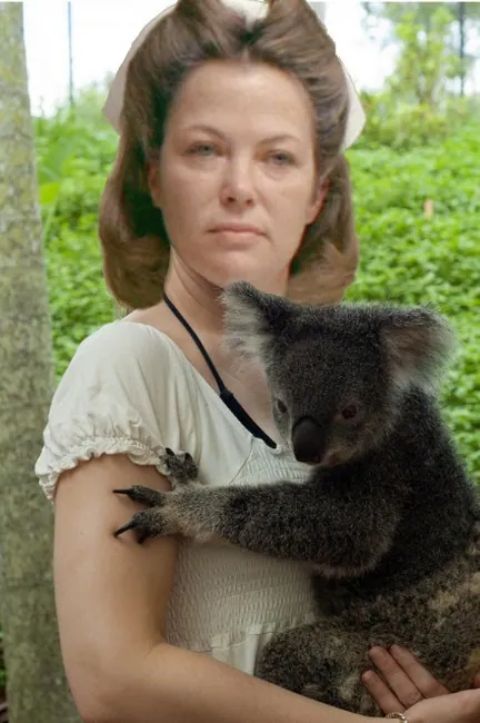 Villains Holding Koalas meme card