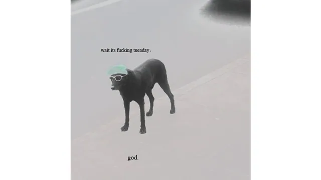 Carte meme Wait Its Fucking Tueaday. God.