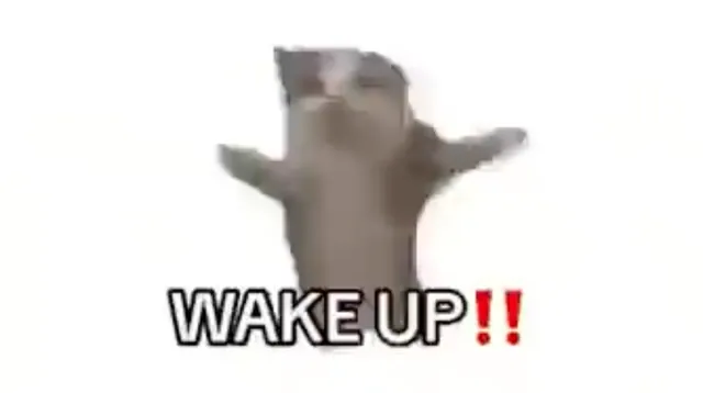 Wake Up It's The First Of The Month meme card