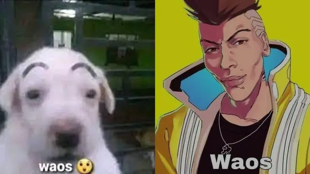 Waos meme card
