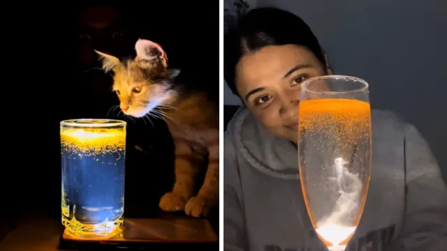 Water Magic TikTok Trend meme card