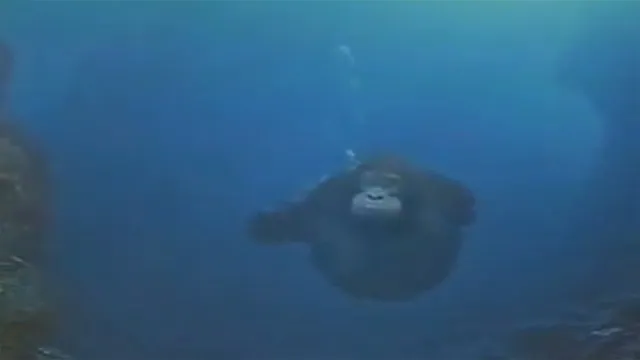 Carte meme Water Monke / Searching For The Sea Banana