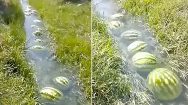 Carte meme Watermelon River