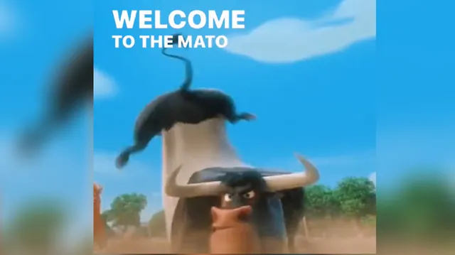 Carte meme Welcome to The Mato
