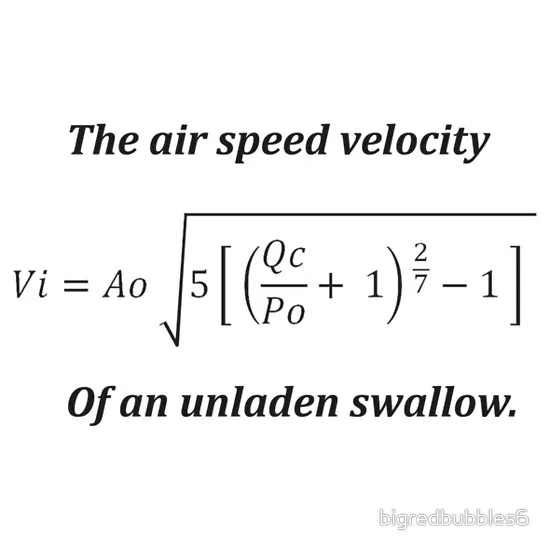 What Is the Airspeed Velocity of an Unladen Swallow? meme card