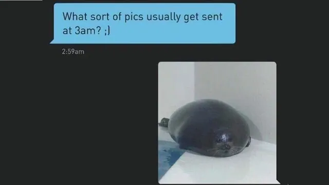 Carte meme What Sort of Pics Usually Get Sent at 3am?