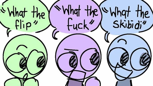 What the Flip / What the Fuck / What the Skibidi meme card
