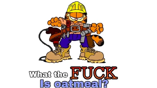 What The Fuck Is Oatmeal meme card
