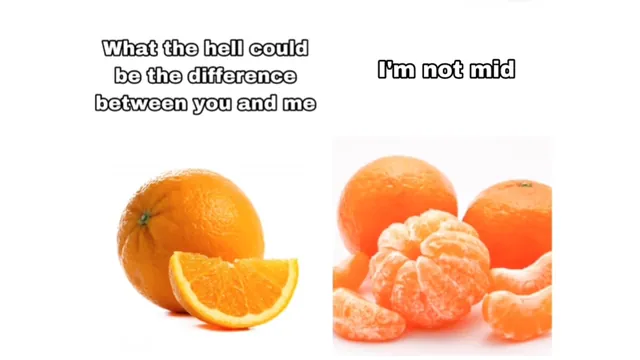 What the Hell Could Be the Difference Between You and Me meme card
