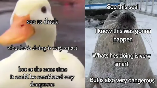 Carte meme What They’re Doing Is Very Smart but Also Very Dangerous