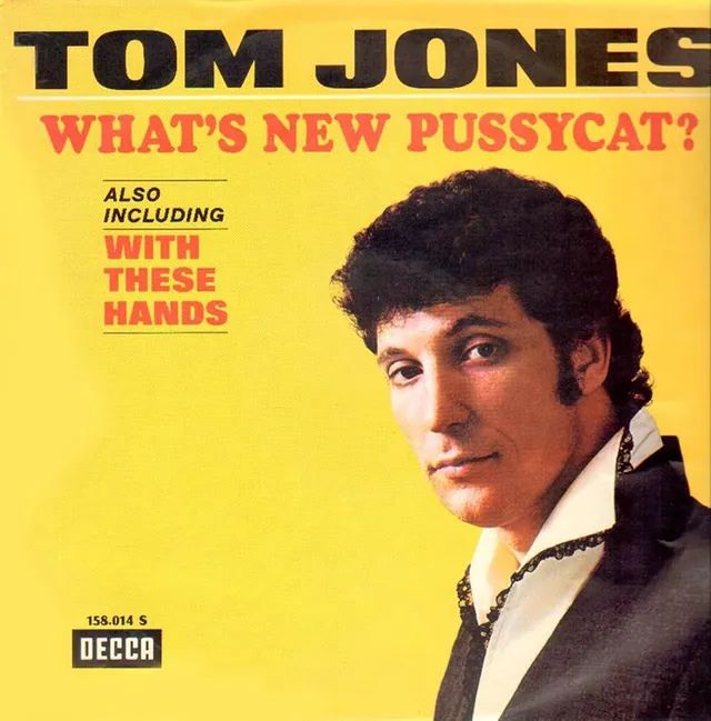 What's New Pussycat? meme card