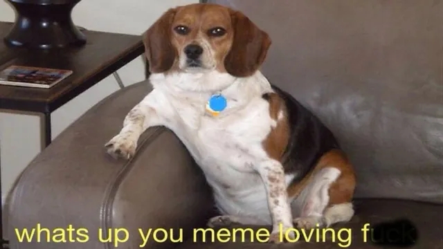 Carte meme What’s Up You Meme Loving Fuck